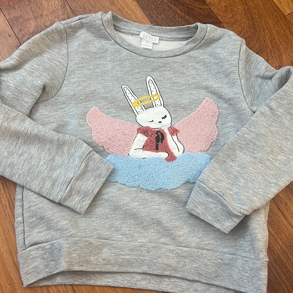 Livly, sweater shirt, size 4